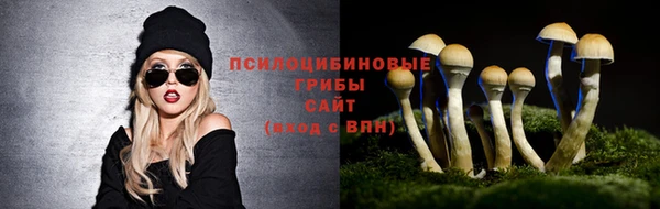 apvp Белоозёрский