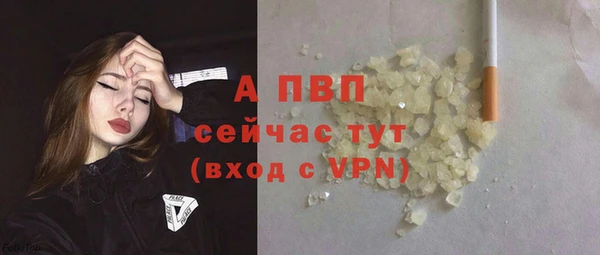 стафф Белокуриха